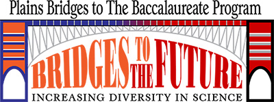 Bridges logo